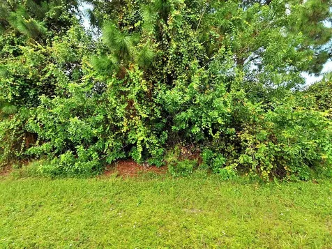4282 SW Mcclellen Street Port St Lucie FL 34953