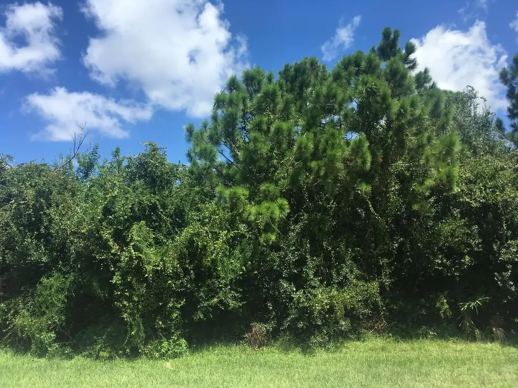 443 SW Molloy Street Port St Lucie FL 34984