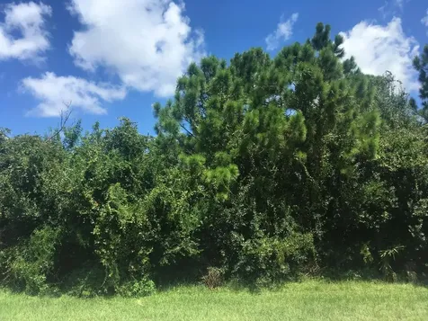 443 SW Molloy Street Port St Lucie FL 34984