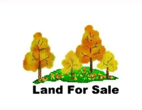 102 SW Dalva Avenue Port St Lucie FL 34984
