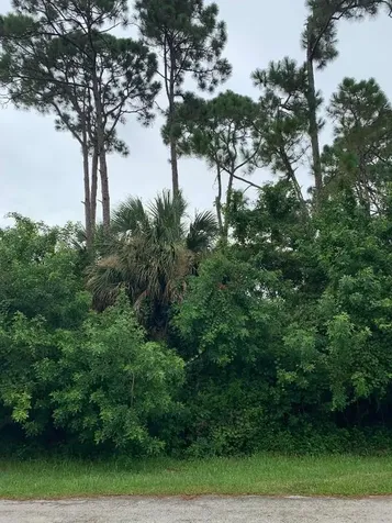 1209 SW Aragon Avenue Port St Lucie FL 34953