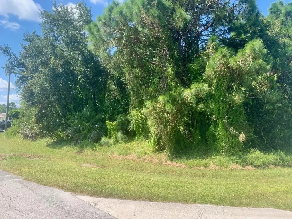 1201 SW Goodman Avenue Port St Lucie FL 34953