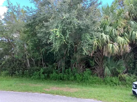 2301 SW Norton Street Port St Lucie FL 34953