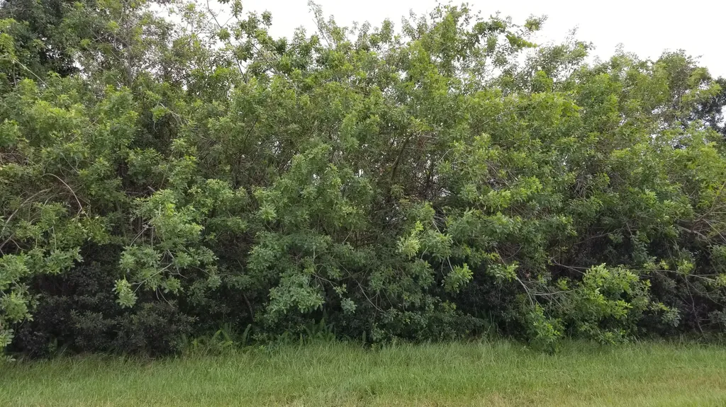 432 SW Ridgecrest Drive Port St Lucie FL 34953