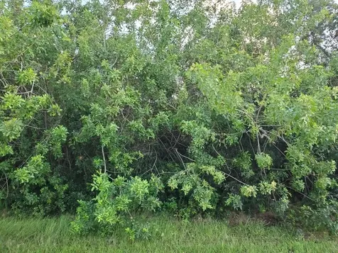 123 SW Ridgecrest Drive Port St Lucie FL 34953