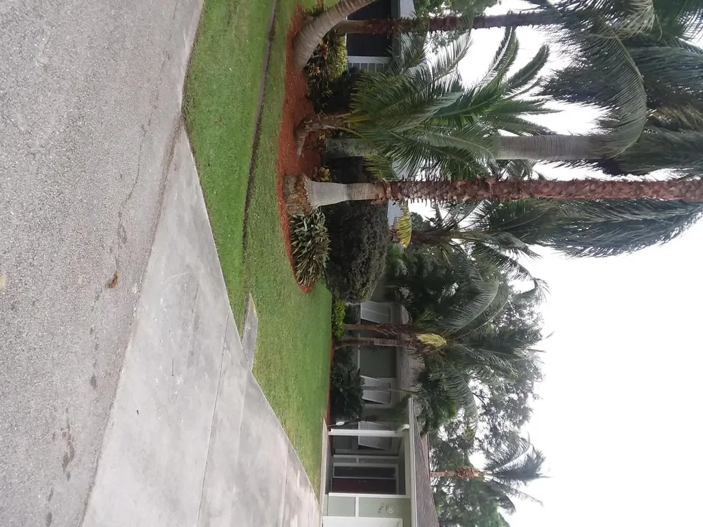 1262 SW Curry Street Port St Lucie FL 34983