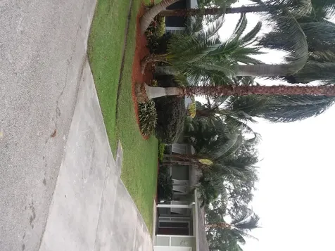 1262 SW Curry Street Port St Lucie FL 34983