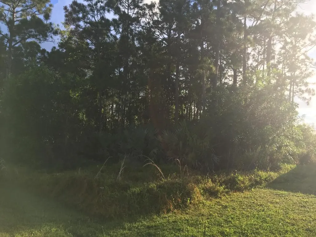 1349 SE Odonnell Lane Port St Lucie FL 34983