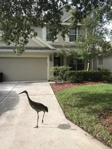 2903 SW Pond Way Palm City FL 34990