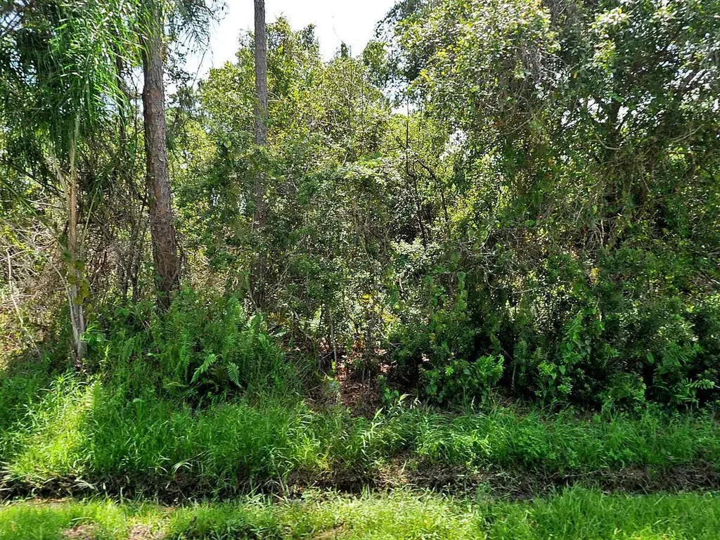 1642 SW Bellevue Avenue Port St Lucie FL 34953