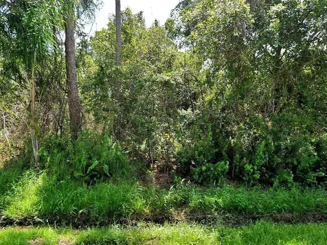 1642 SW Bellevue Avenue Port St Lucie FL 34953