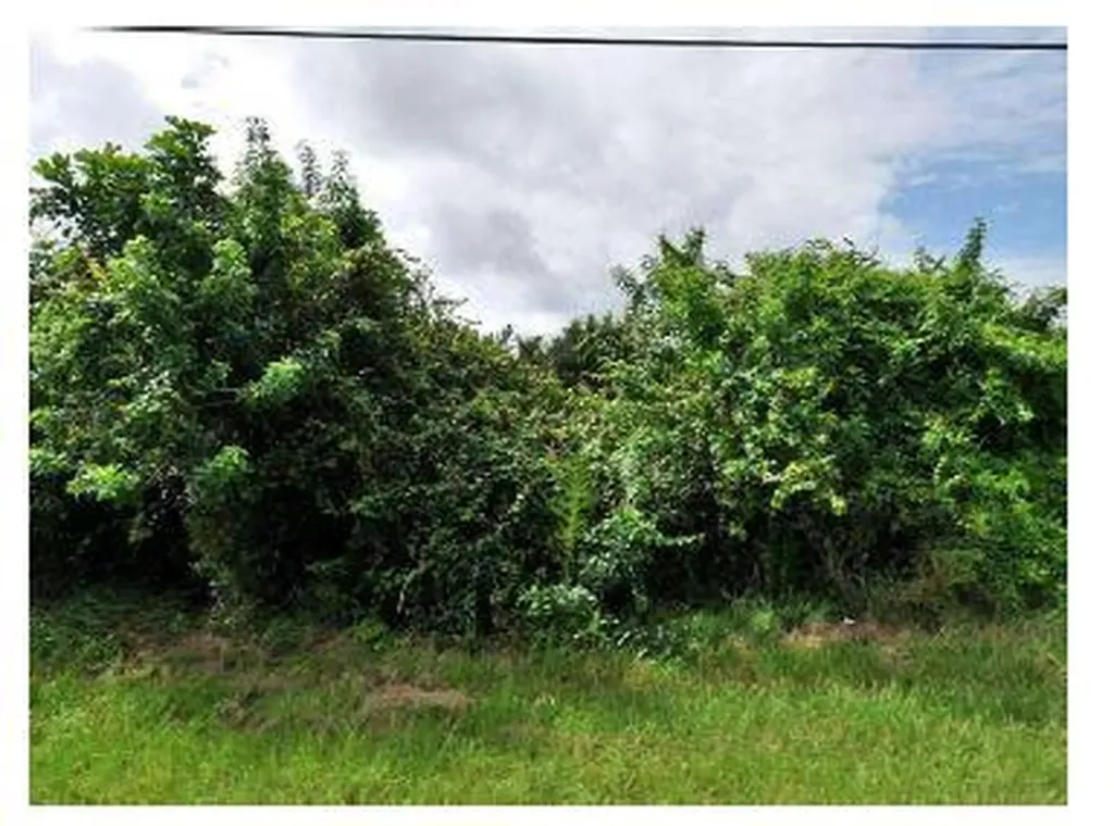 854 SW Mccomb Avenue Port St Lucie FL 34953