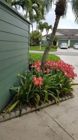 6765 SE Bunker Hill Drive Hobe Sound FL 33455