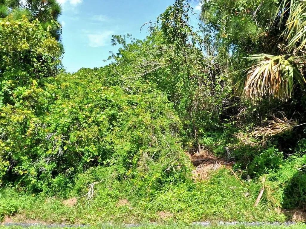 1725 SW Hampshire Lane Port St Lucie FL 34953