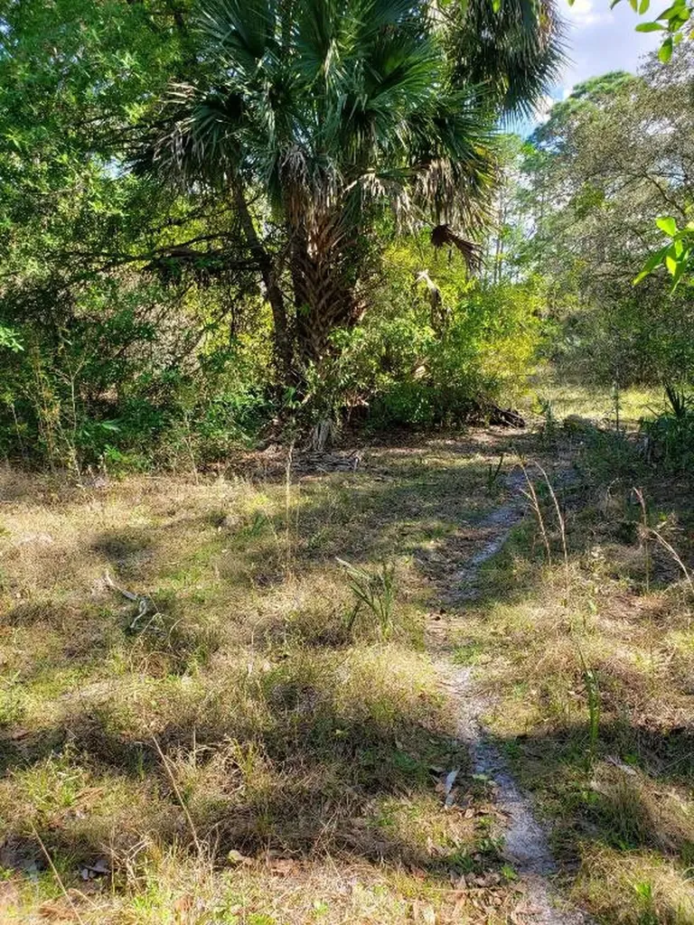 9401 SW Hopwood Avenue Indiantown FL 34956