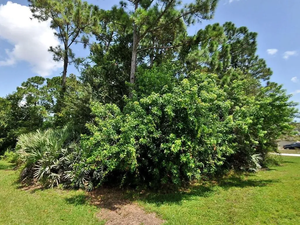 1879 SW Grant Avenue Port St Lucie FL 34953