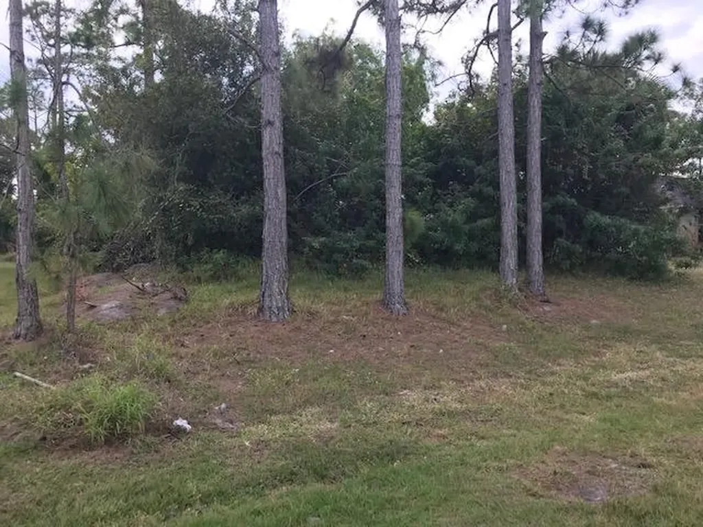 134 SW Euler Avenue Port St Lucie FL 34953