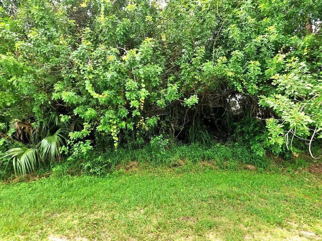1008 SW Dalton Avenue Port St Lucie FL 34953