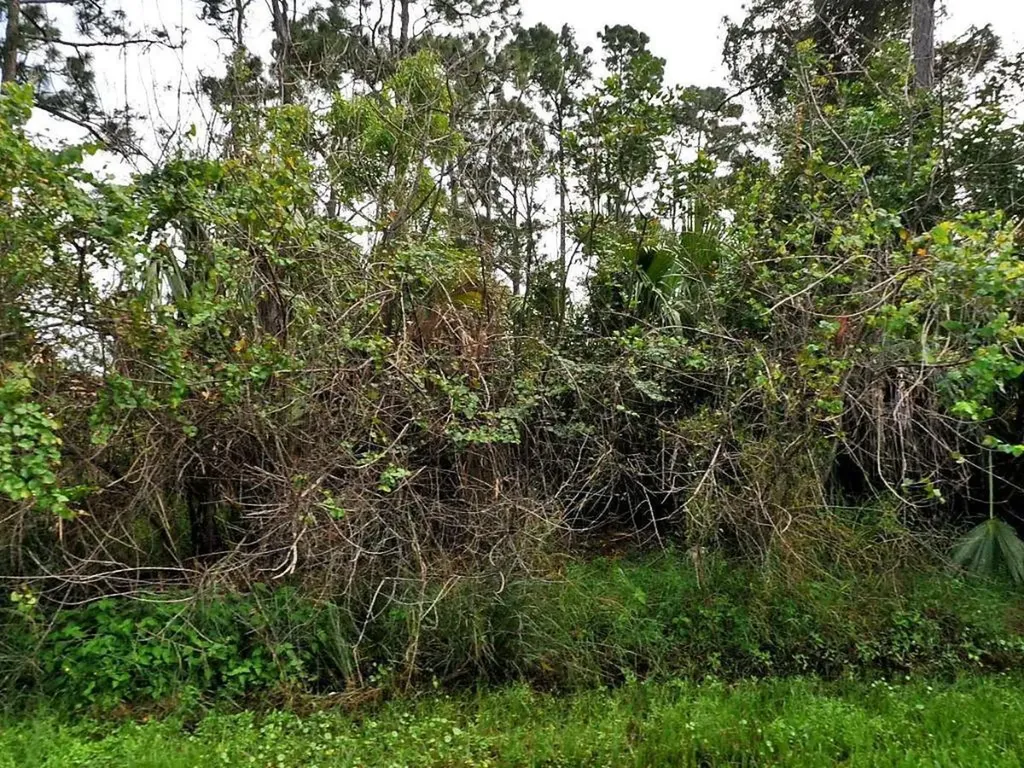 938 SW Fenway Road Port St Lucie FL 34953