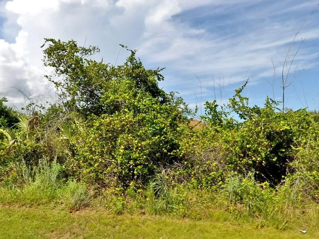 901 SW Bellevue Avenue Port St Lucie FL 34953