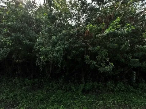 538 NW Ferris Drive Port St Lucie FL 34983