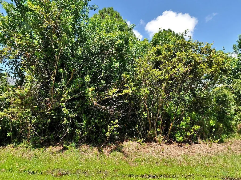 4164 SW Elba Street Port St Lucie FL 34953