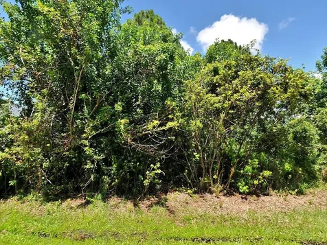 4164 SW Elba Street Port St Lucie FL 34953