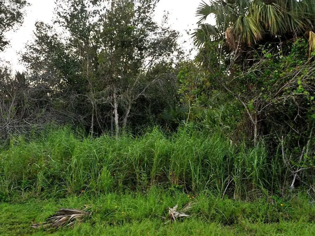 2034 SW Beauregard Street Port St Lucie FL 34953