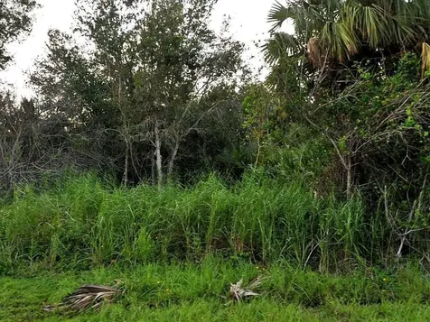 2034 SW Beauregard Street Port St Lucie FL 34953