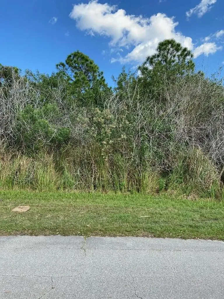 2101 SW Gailwood Street Port St Lucie FL 34987