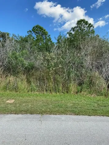 2101 SW Gailwood Street Port St Lucie FL 34987