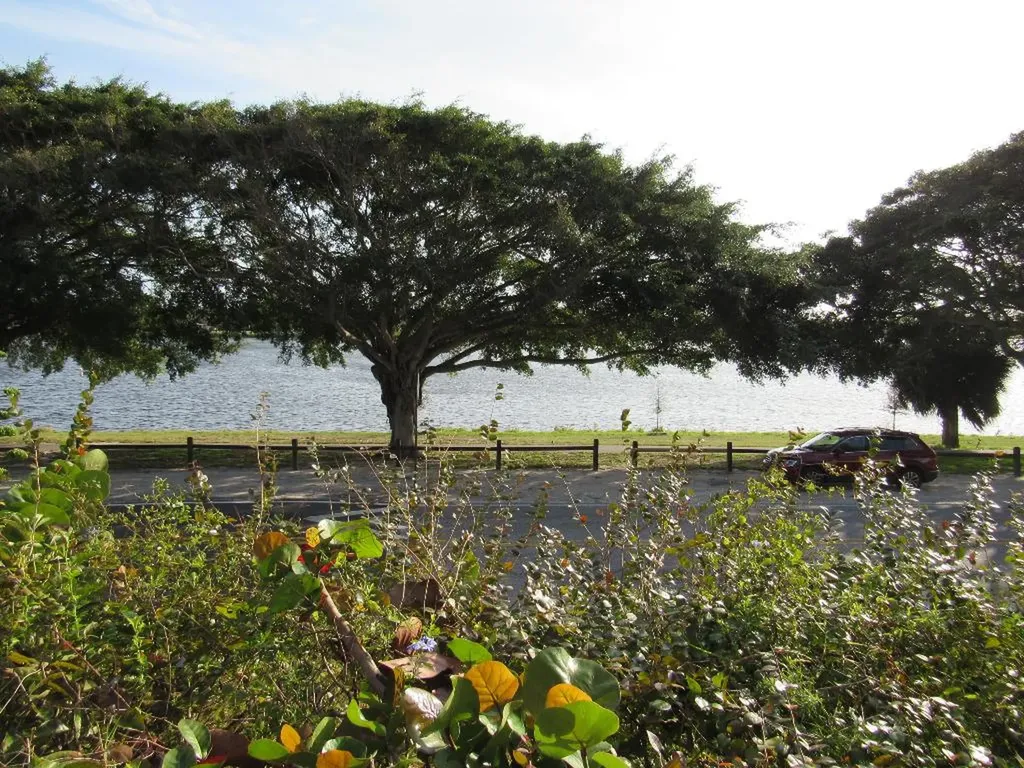 208 Lake Osborne Drive Lake Worth FL 33461