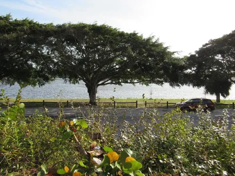 208 Lake Osborne Drive Lake Worth FL 33461