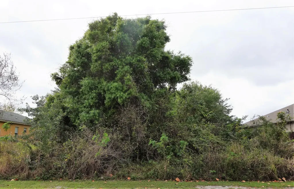 2072 SW Monterrey Lane Port St Lucie FL 34953