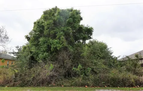 2072 SW Monterrey Lane Port St Lucie FL 34953