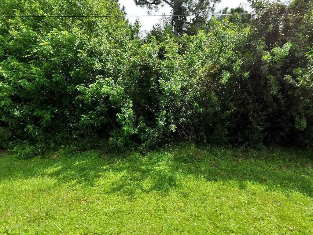 4281 SW Kazan Street Port St Lucie FL 34953