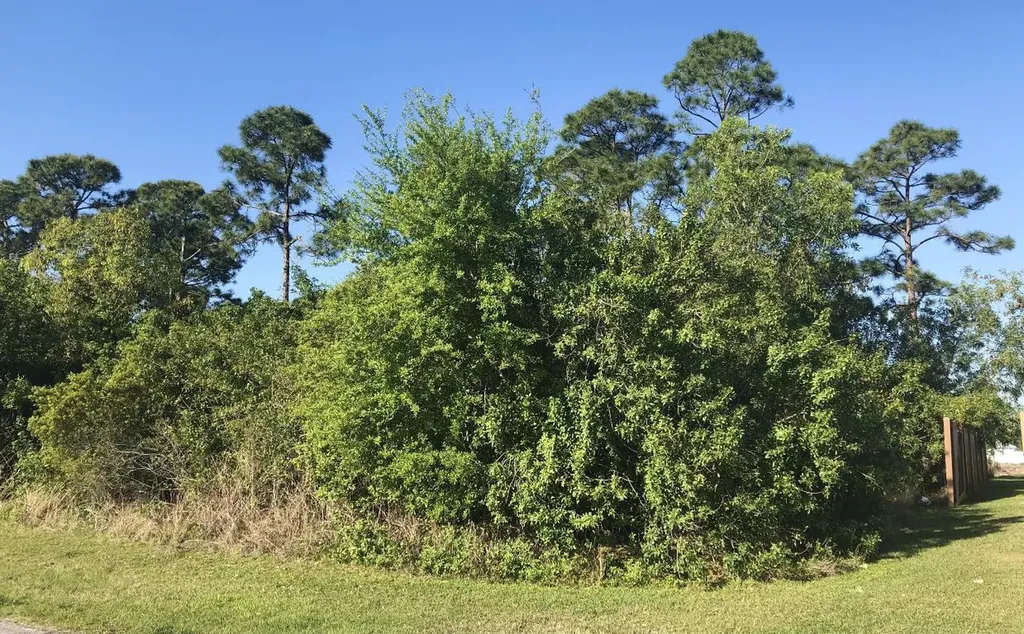 4634 SW Obelisk Street Port St Lucie FL 34953