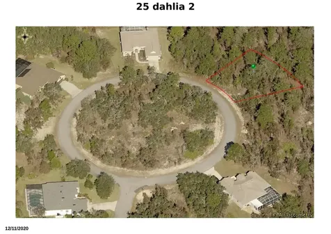 25 Dahlia Court N Homosassa FL 34446