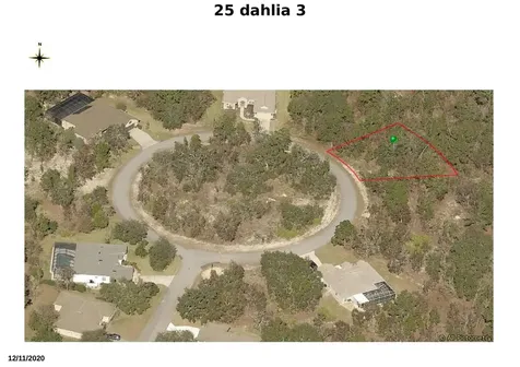 25 Dahlia Court N Homosassa FL 34446