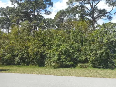4490 SW Bradbury Street Port St Lucie FL 34953