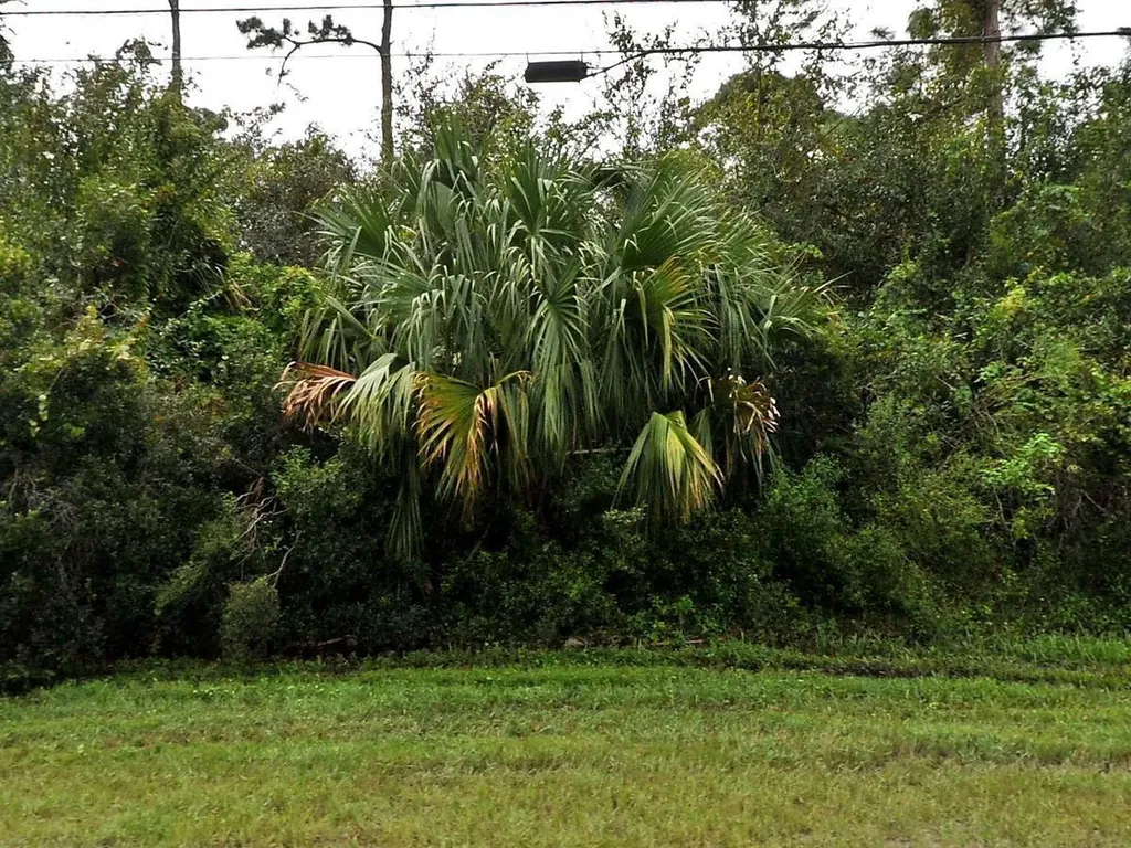 1358 SW California Boulevard Port St Lucie FL 34953