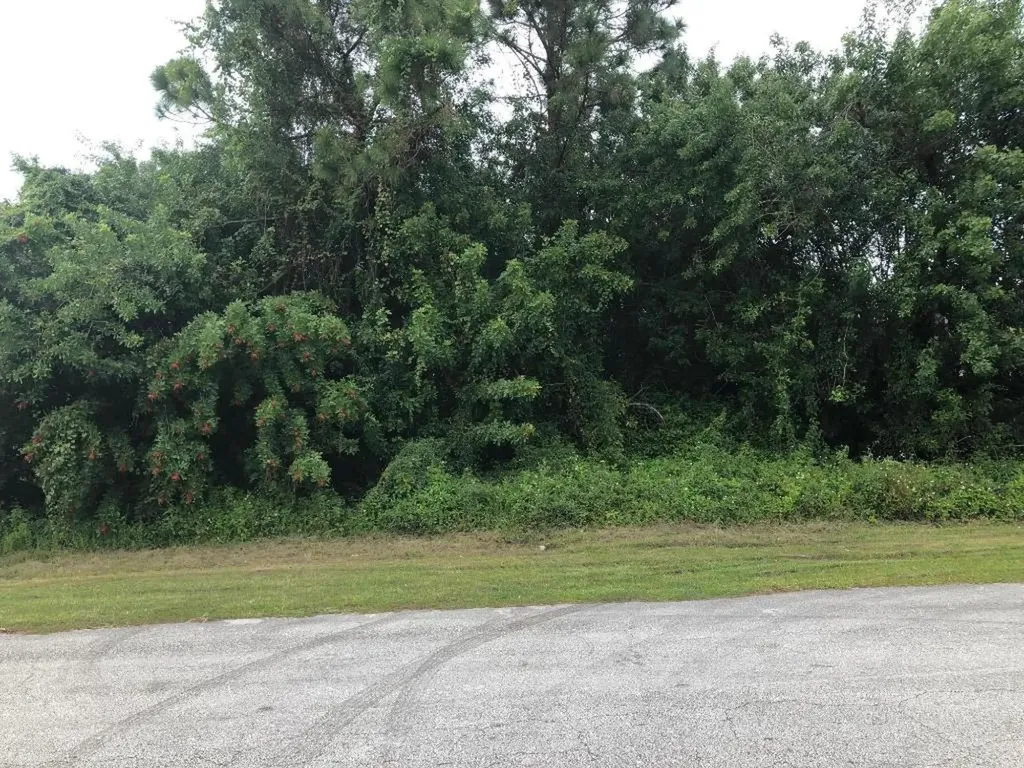 413 SW Leona Drive Port St Lucie FL 34953