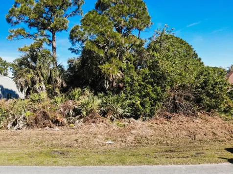 365 SE Dalva Avenue Port St Lucie FL 34984