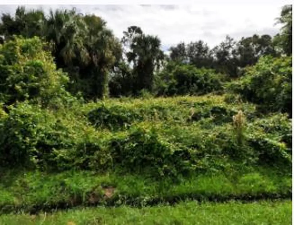 1882 SW Leafy Road Port St Lucie FL 34953