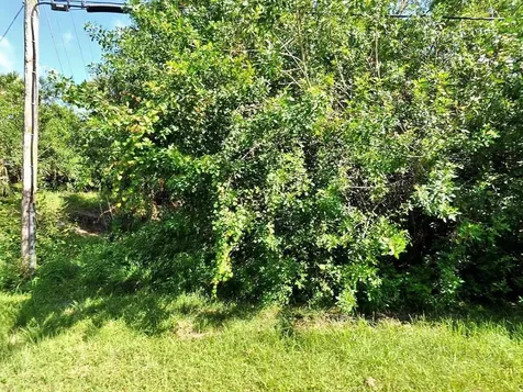 1665 SW Hextel Avenue Port St Lucie FL 34953