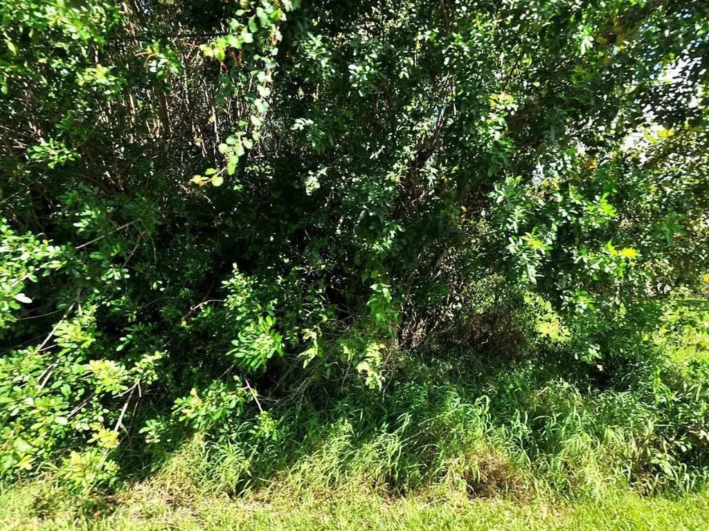 1617 SW Hextel Avenue Port St Lucie FL 34953