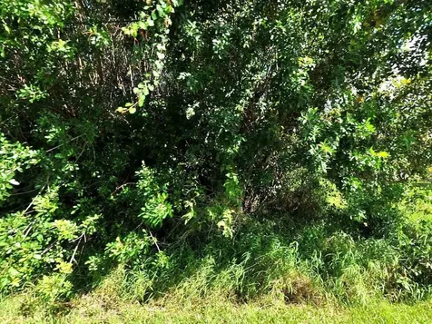 1617 SW Hextel Avenue Port St Lucie FL 34953