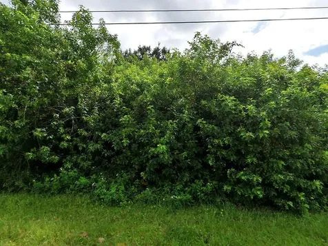 3201 SW Mcmullen Street Port St Lucie FL 34953