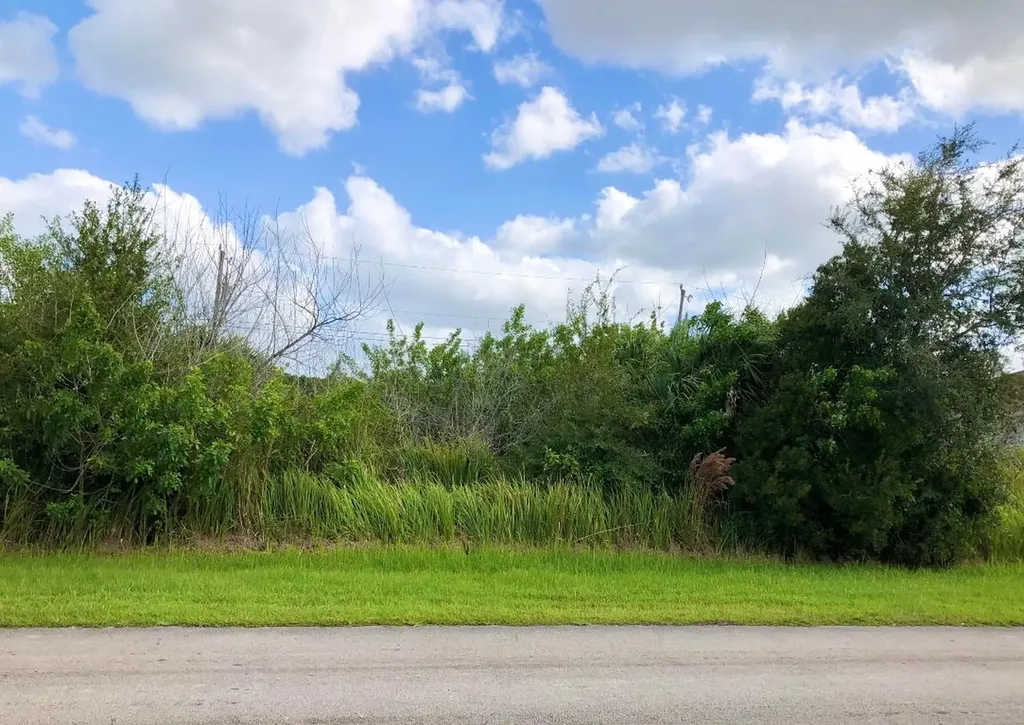 1917 SW Guernsey Street Port St Lucie FL 34987