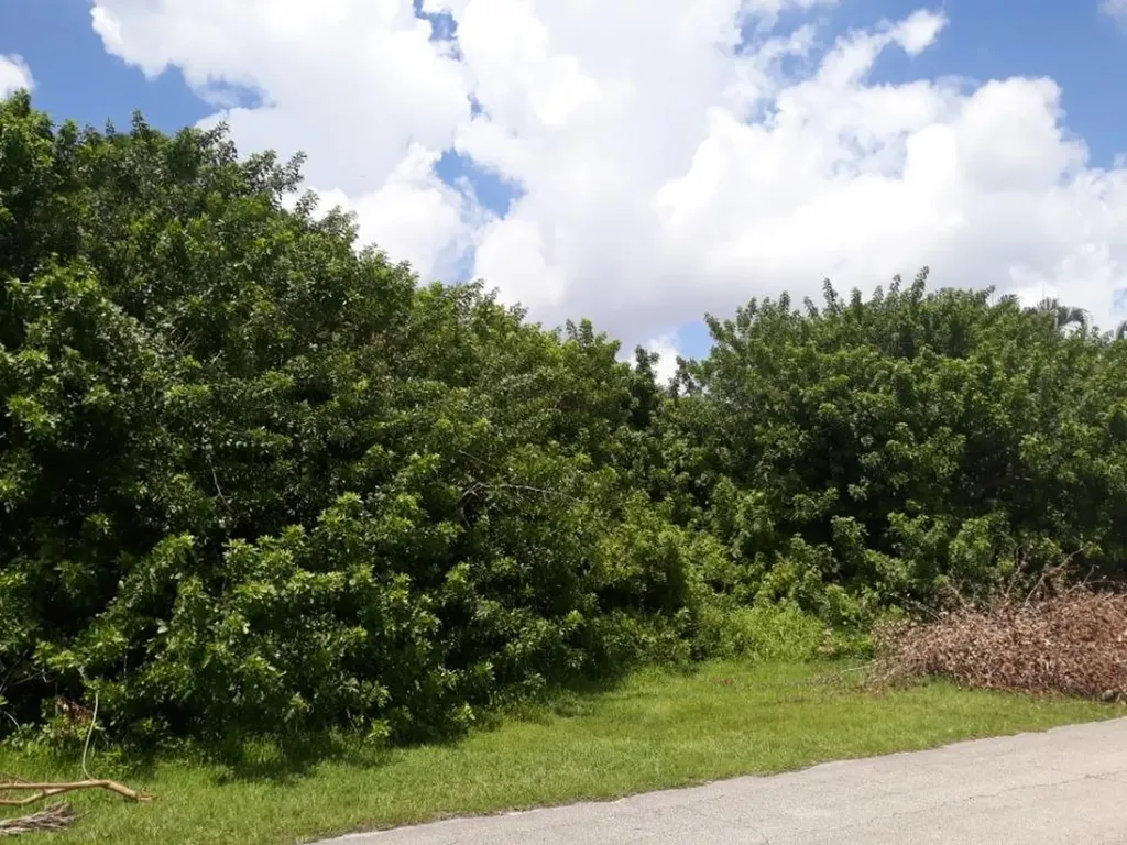 2174 SW Barthel Street Port St Lucie FL 34984